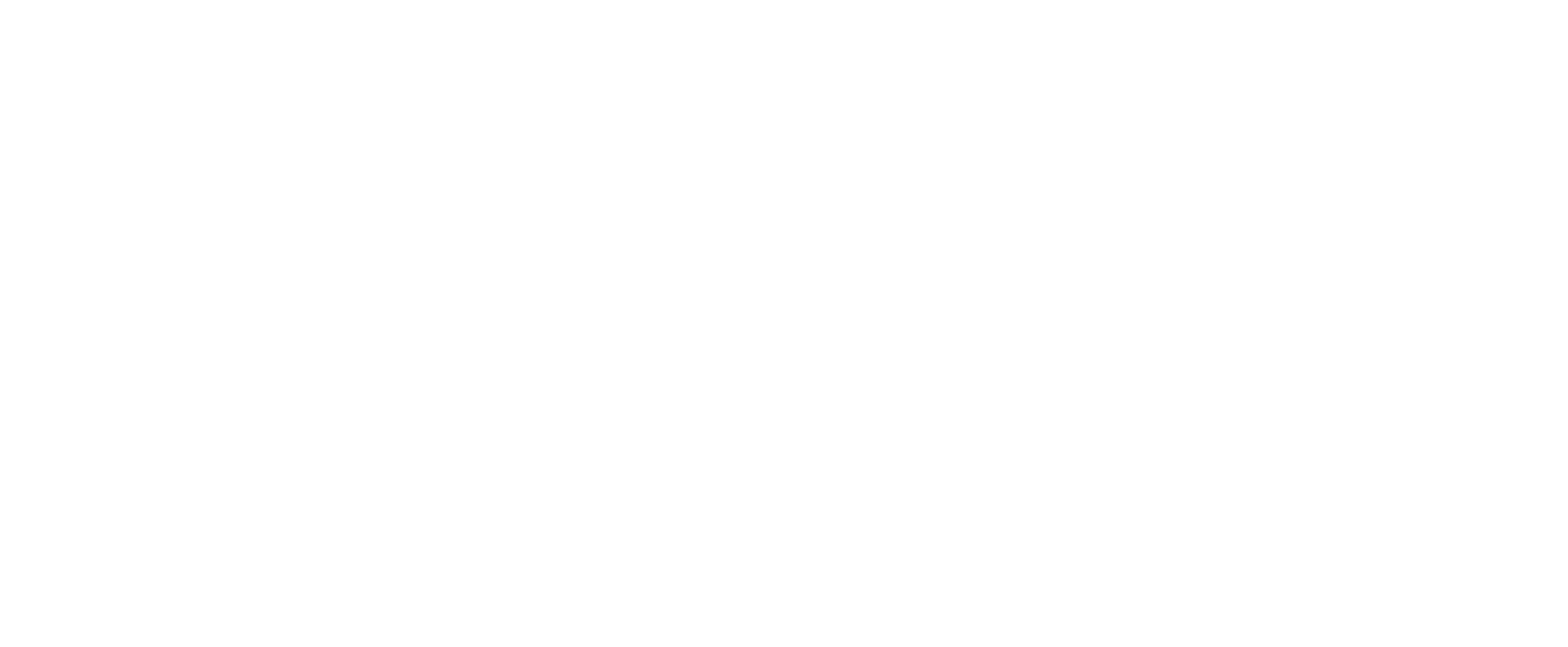 Palmer Digital Group logo