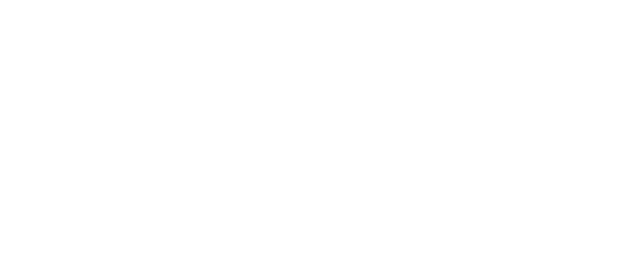 VConn Digital Interactive logo