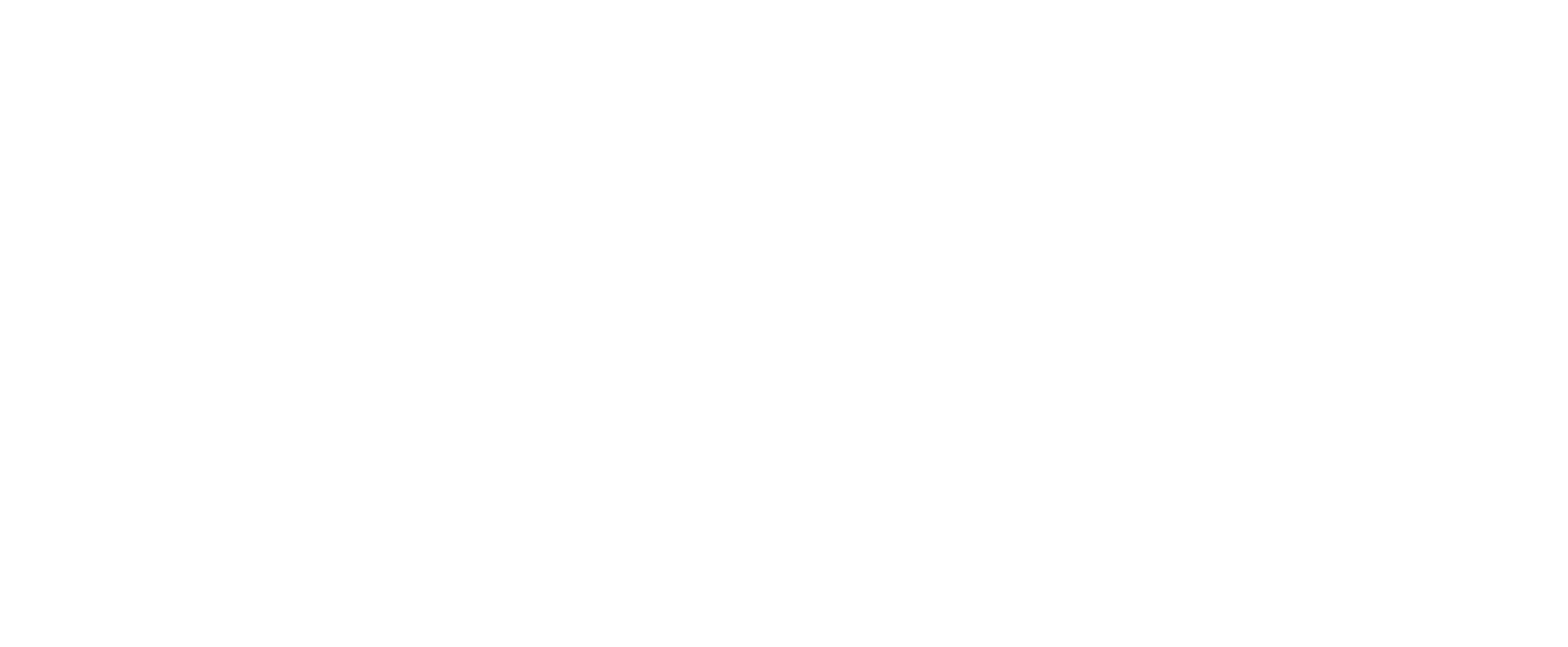 City Barbeque logo
