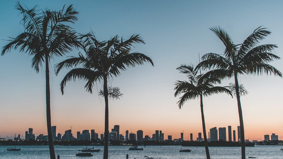 Tampa, Florida waterfront skyline at sunset